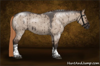 Horse Color:Liver Red Dun Roan Tobiano Rabicano Brindle