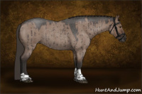 Horse Color:Liver Red Dun Roan Tobiano Brindle