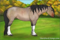 Horse Color:Bay Roan Dun Rabicano 