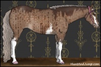 Horse Color:White Spotted Silver Brown Dun Appaloosa Rabicano Brindle 