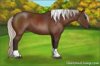 Horse Color:Silver Brown Tobiano Rabicano