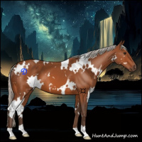 Horse Color:White Spotted Silver Bay 