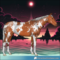 Horse Color:White Spotted Silver Bay 