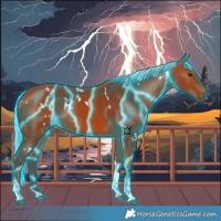 Horse Color:Thunderstruck White Spotted Silver Bay Tobiano 
