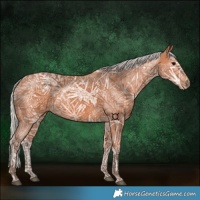 Horse Color:Silver Bay Ice 