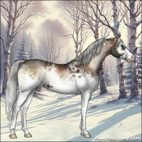 Horse Color:White Spotted Liver Red Onyx Mushroom Splash 