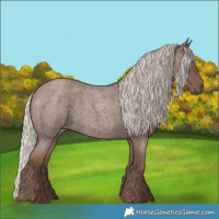 Horse Color:Silver Blue Roan 