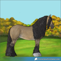 Horse Color:Buckskin Dun 