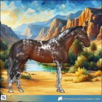 Horse Color:Brown Tobiano