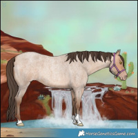 Horse Color:Amber Champagne Roan 