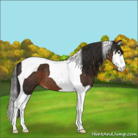 Horse Color:Liver Chestnut Splash Tobiano