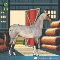 Horse Color:Buckskin Roan Tobiano 