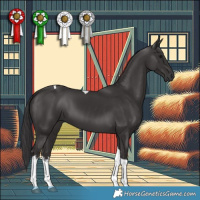 Horse Color:White Spotted Smoky Black Tobiano 
