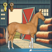 Horse Color:White Spotted Palomino Tobiano 