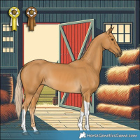 Horse Color:White Spotted Palomino Tobiano