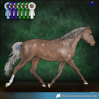 Horse Color:Silver Black 