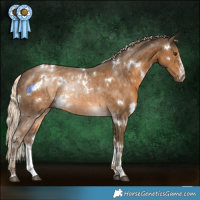 Horse Color:White Spotted Chocolate Palomino 