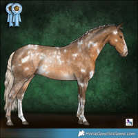 Horse Color:White Spotted Chocolate Palomino 