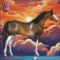 Horse Color:White Spotted Buckskin 