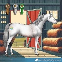 Horse Color:Gray Bay Tobiano