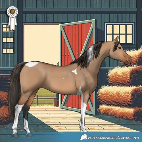 Horse Color:Bay Dun Tobiano 