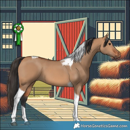 Horse Color:Bay Dun Tobiano 