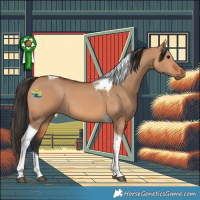 Horse Color:Bay Dun Tobiano 