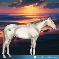 Horse Color:Buckskin Roan Pearl 