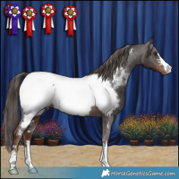 Horse Color:Liver Chestnut Near Fewspot 