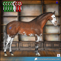 Horse Color:Brown Splash