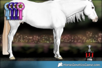 Horse Color:White Spotted Buckskin Dun Sabino Appaloosa 