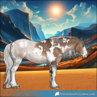 Horse Color:White Spotted Silver Brown Dun Sabino Rabicano 