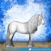 Horse Color:Gray Black 