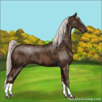 Horse Color:Chestnut Ice Mushroom Tobiano 