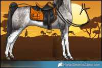 Horse Color:Platinum White Spotted Buckskin Rabicano 