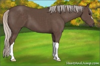 Horse Color:Silver Black 