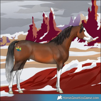 Horse Color:Brown Splash