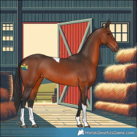 Horse Color:Brown Tobiano 