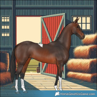 Horse Color:Brown Tobiano 