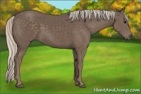 Horse Color:Silver Black 
