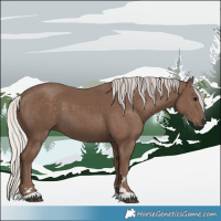 Horse Color:Silver Black 