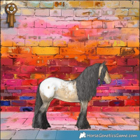 Horse Color:Buckskin Dun Appaloosa