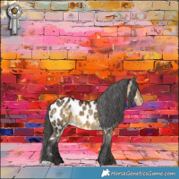 Horse Color:Buckskin Dun Near Leopard Brindle 