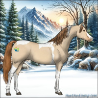 Horse Color:Red Dun Tobiano 
