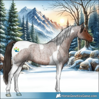 Horse Color:Liver Red Roan Tobiano