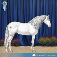 Horse Color:Red Roan Appaloosa