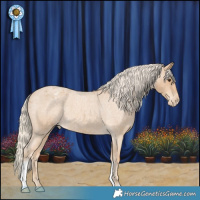 Horse Color:Red Roan Varnish 