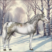 Horse Color:White Spotted Liver Red Dun Ice Mushroom Splash Tobiano 