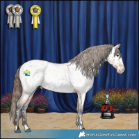 Horse Color:Bay Roan Appaloosa Rabicano