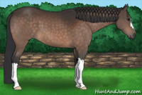 Horse Color:Brown 